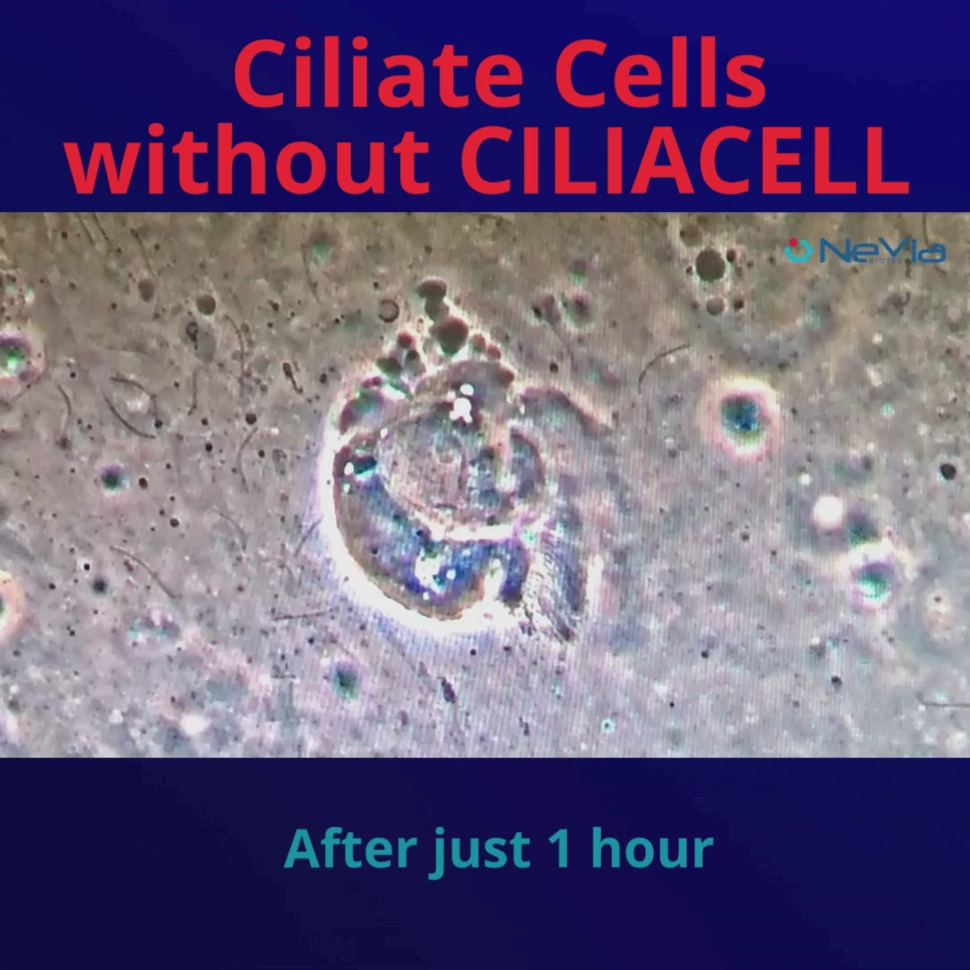 Cargar vídeo: CiliaCell Spray Nasal - Adultos